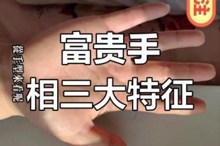 手掌藏双龙，财运亨通，事业腾飞，揭秘两人字手相的神秘力量