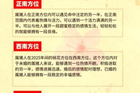 如何利用八字桃花运势，预测你的爱情未来