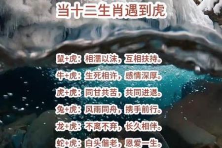 虎鼠组合：揭秘生肖配对中的绝配奇迹