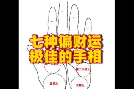 手相秘籍：揭秘命运与财运的秘密