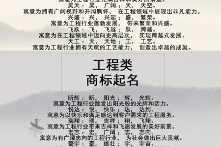 环保公司名字大全：让环保事业走向全球