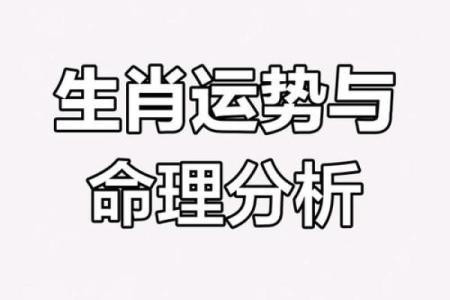 八字与生肖的神奇联系，深度分析命运密码