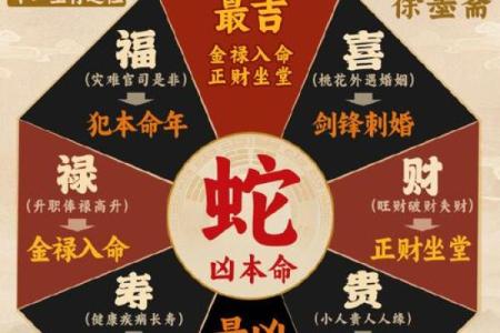 浆打生肖，财运亨通，揭秘生肖背后的神秘力量