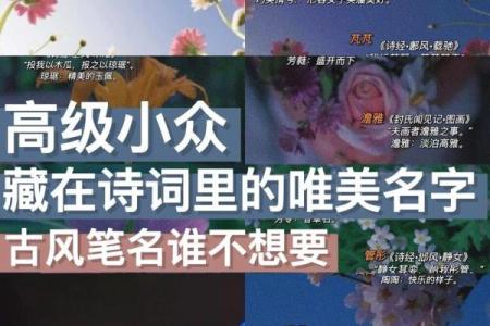 筝音悠扬，给你的名字添一份古风韵味