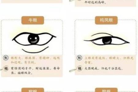 面相揭秘：生死攸关的五官秘密