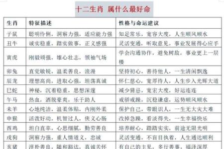十二生肖大揭秘：谁是你命中注定的贵人？