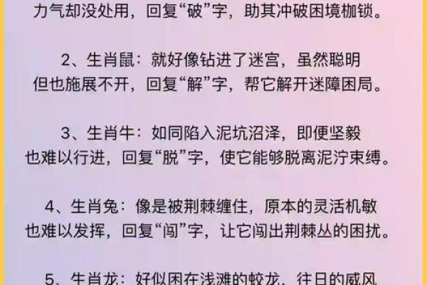 生肖密码大揭秘：揭开十二生肖的神秘面纱