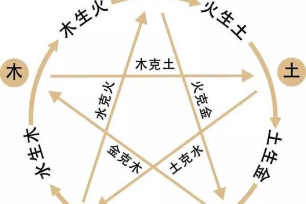 深入解析五行行业分类，揭秘每个行业的命运走向