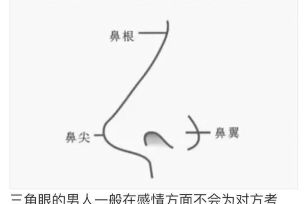 面相揭秘：智商高低的秘密，一眼识破