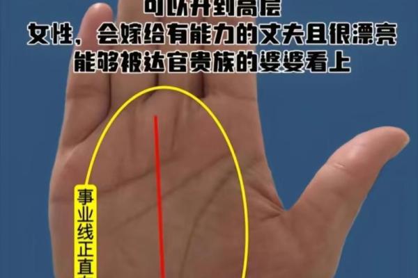 揭秘男士手相事业线：掌握财运事业巅峰的秘籍图解大全