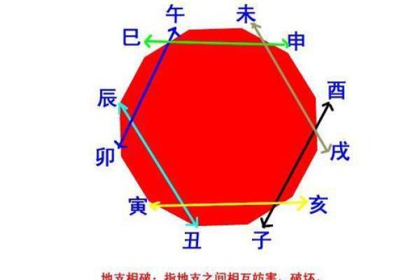 生肖破月：揭秘十二生肖背后的神秘力量