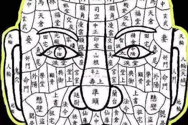 土带水面，揭秘面相中的富贵密码