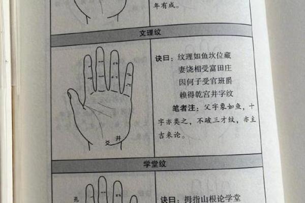 手相算命，揭秘价格之谜，一招看透命运真相