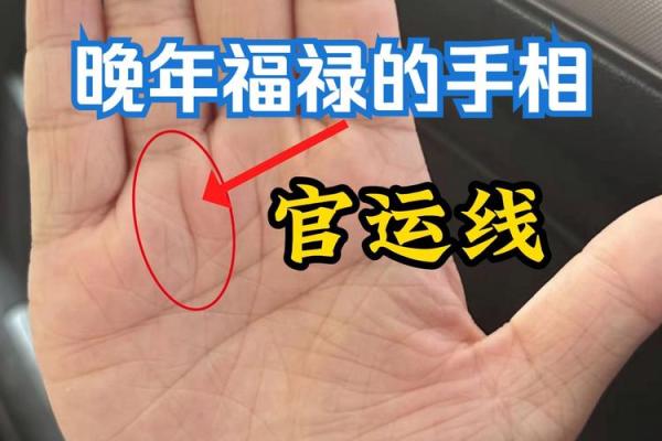 揭秘手相奥秘：棺材纹与井纹，财运运势一网打尽