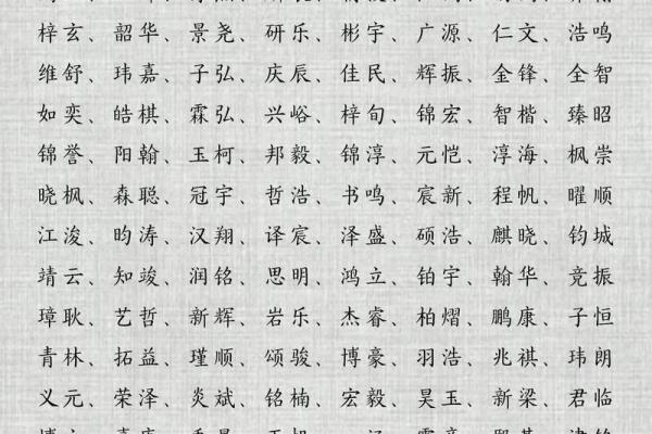 起名字锦：为宝宝量身定制一个最适合的名字