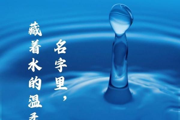 精选带水公司名字大全，开启你的品牌之路