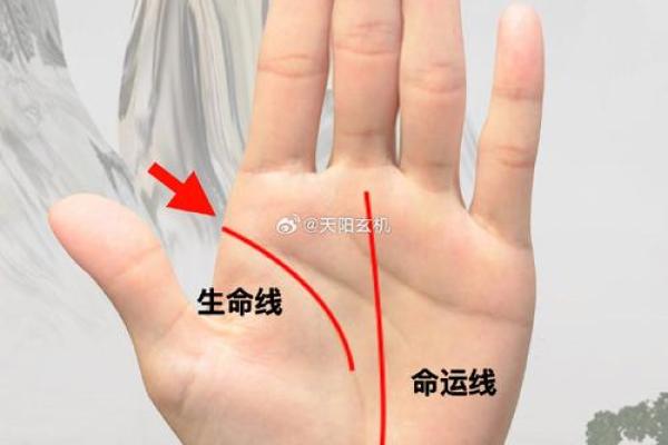 桃花运势尽在手心揭秘手相中桃花线，助你掌握爱情主动权