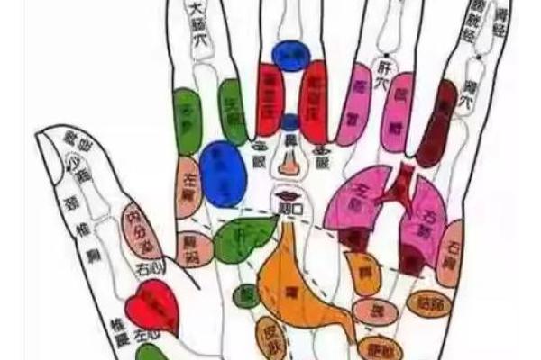 揭秘手相宫图：一眼洞察身体健康秘密