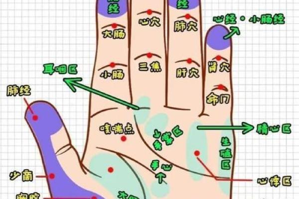 揭秘手相宫图：一眼洞察身体健康秘密