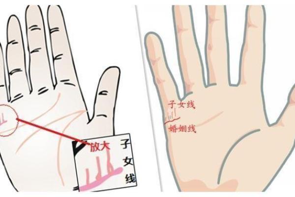 手相揭秘：掌握这几个关键部位，帮你精准预测最佳生育时机