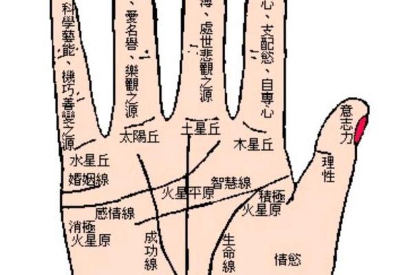 揭秘克夫手相：这些纹路暗示命运，你中招了吗？