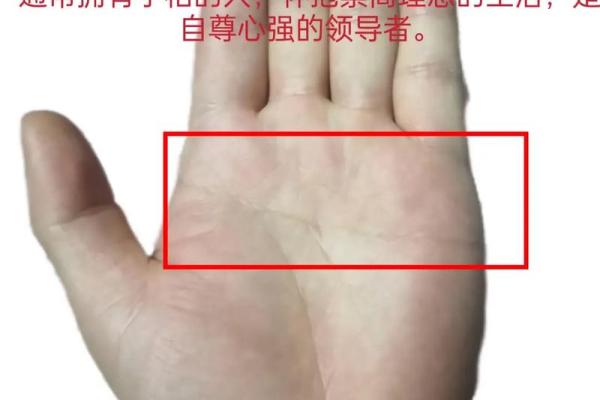 揭秘克夫手相：这些纹路暗示命运，你中招了吗？
