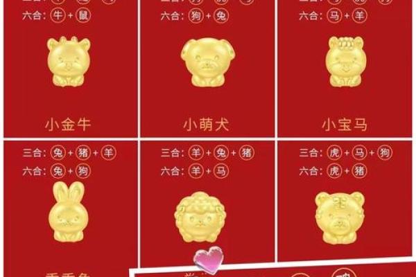 十二生肖皆宝：揭秘每个生肖的神奇魅力