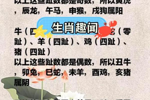 十二生肖皆宝：揭秘每个生肖的神奇魅力