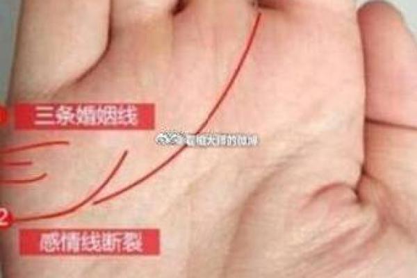 手相解析婚姻运势 揭示你爱情未来的秘密