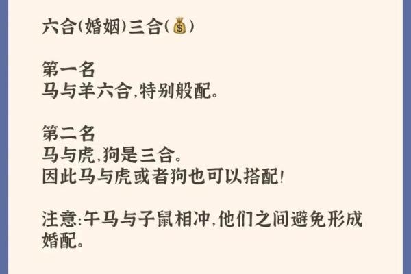 猪马相配：揭秘生肖搭配的神奇魅力
