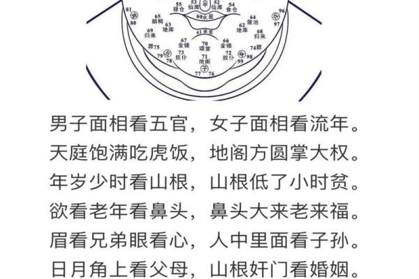 揭秘面相秘密：一眼看穿命运，揭秘你的人生运势