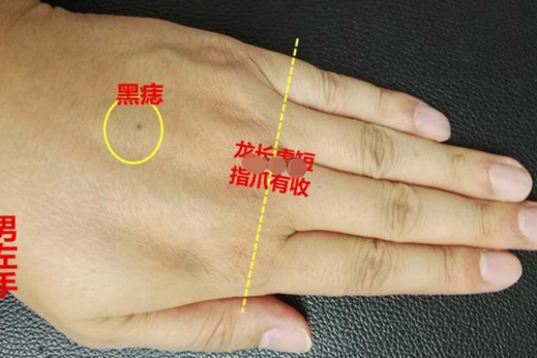 揭秘公务员手相：握住未来，掌舵仕途