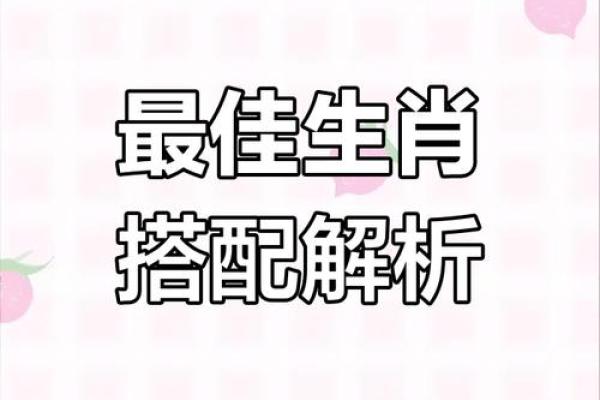 属相配科学揭秘：揭秘生肖配对背后的科学原理