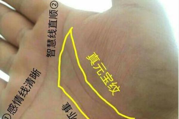 手相揭秘：指头多肉的男人运势如何？