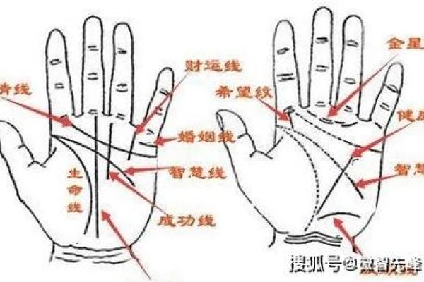 手相揭秘：一招轻松看透你的娃儿数量