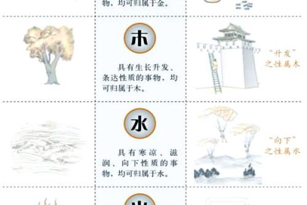 何五行属什么？五行解析全揭秘