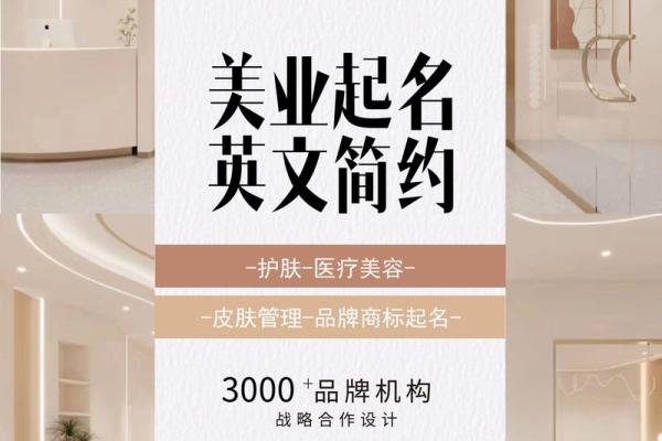 给公司起名从英文单词开始，打造品牌新风格