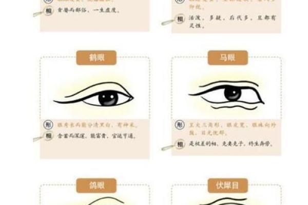 痣相揭秘：麻衣神相教你识人断命