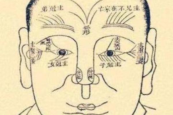 揭秘天机好面相：掌握运势的秘密钥匙