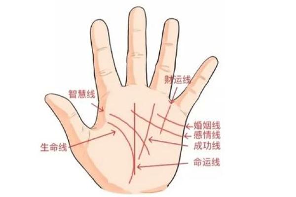 揭秘断掌右手手相，财运亨通，事业有成