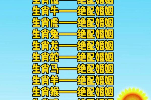 属相相配，婚姻更美满揭秘十二生肖的最佳伴侣