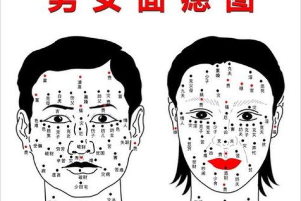 痣相真的准？揭秘面相学的神奇之处