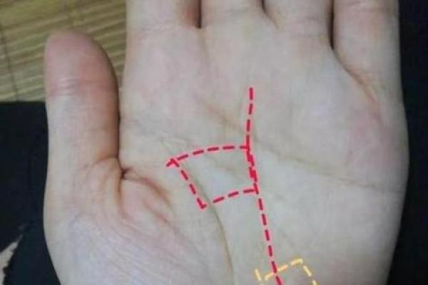 揭秘横财手相：掌握这些特征，财运亨通