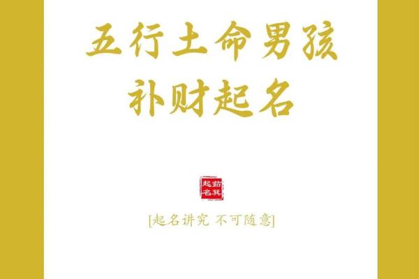 1990年：揭秘土命年，揭秘土命人的命运奥秘