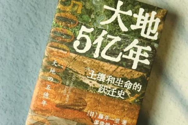 1990年：揭秘土命年，揭秘土命人的命运奥秘