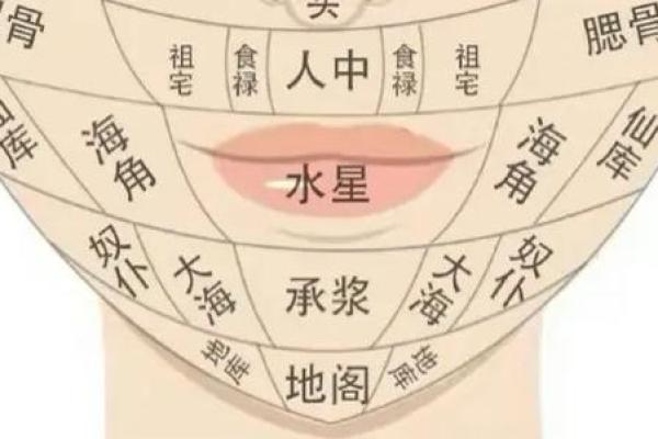 痣相奇谈：破字面相，揭秘你的运势转折点