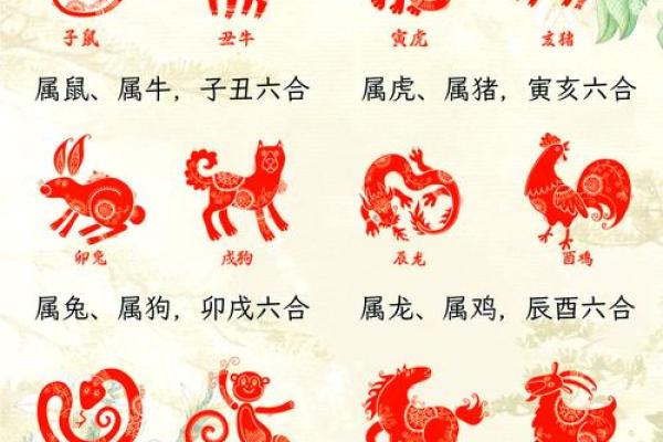 灶猜一生肖，揭秘你的生肖秘密