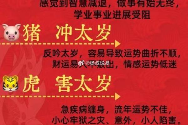 面相冲天：揭秘12生肖运势巅峰，你的人生巅峰在何时？