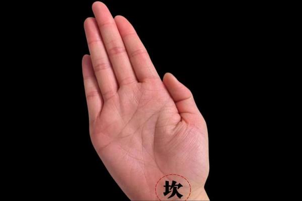 揭秘珠沙掌女人手相，掌握运势密码，必看