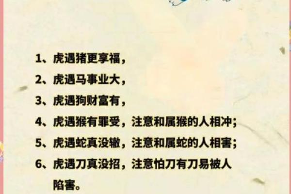 生肖缘分配对榜：揭秘你的天生贵人是谁？